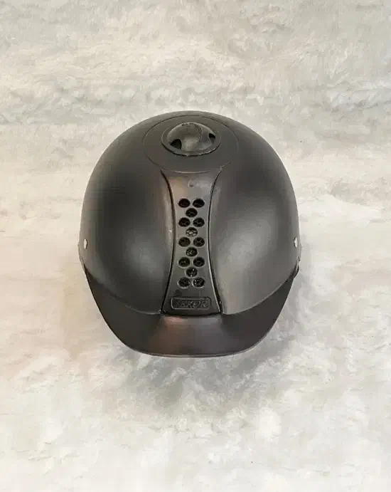 لوازم سوارکاری|اسب و تجهیزات اسب‌سواری|تهران, خلیج فارس|دیوار