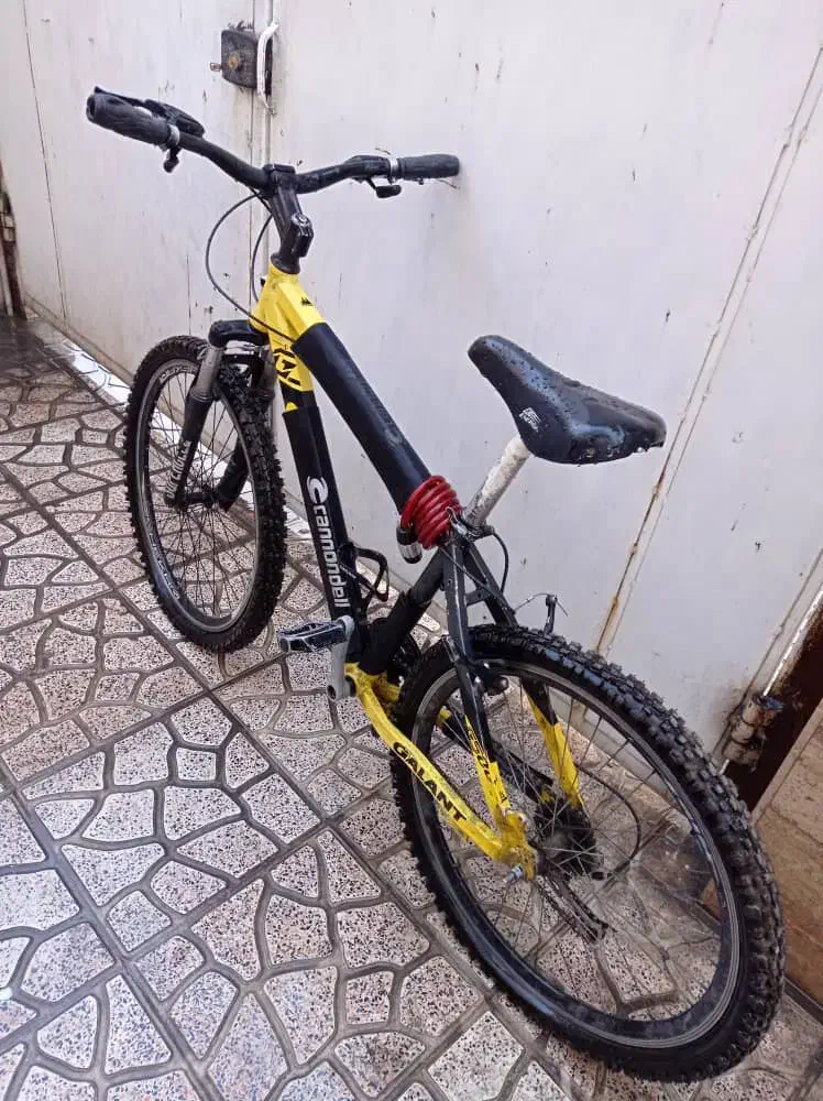 دوچرخه ۲۶ کنوندل|دوچرخه، اسکیت، اسکوتر|هشتگرد, مدرس|دیوار