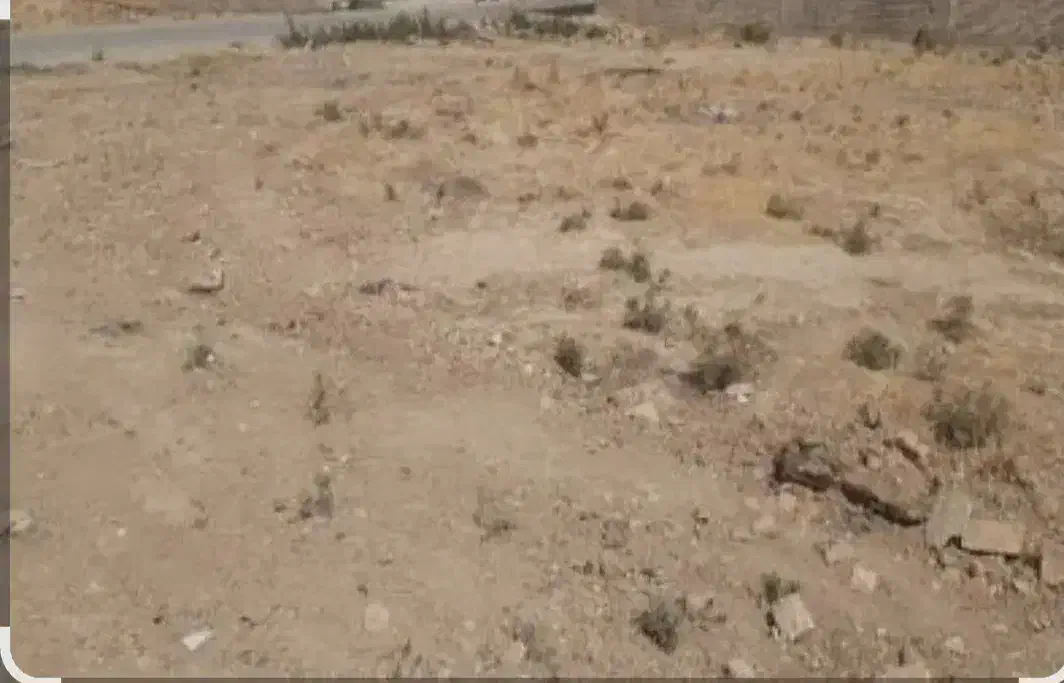 فروش زمین فوری|فروش زمین و ملک کلنگی|اسفراین, |دیوار