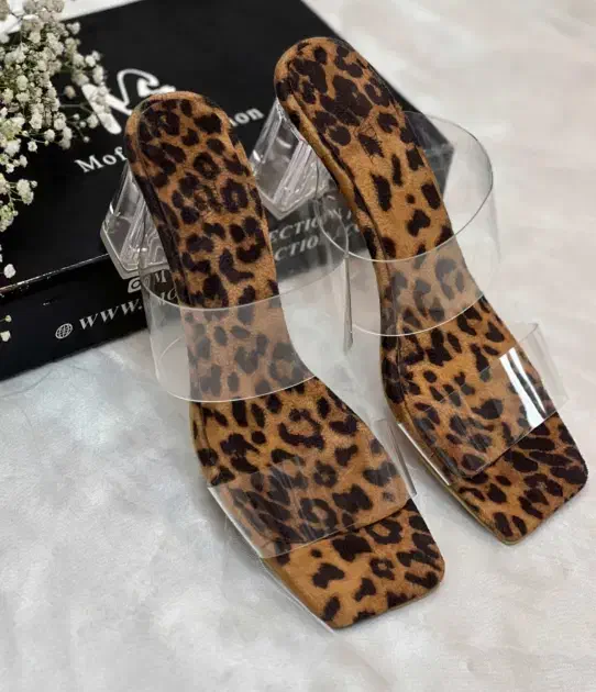 صندل مجلسی|کیف، کفش، کمربند|اشتهارد, |دیوار