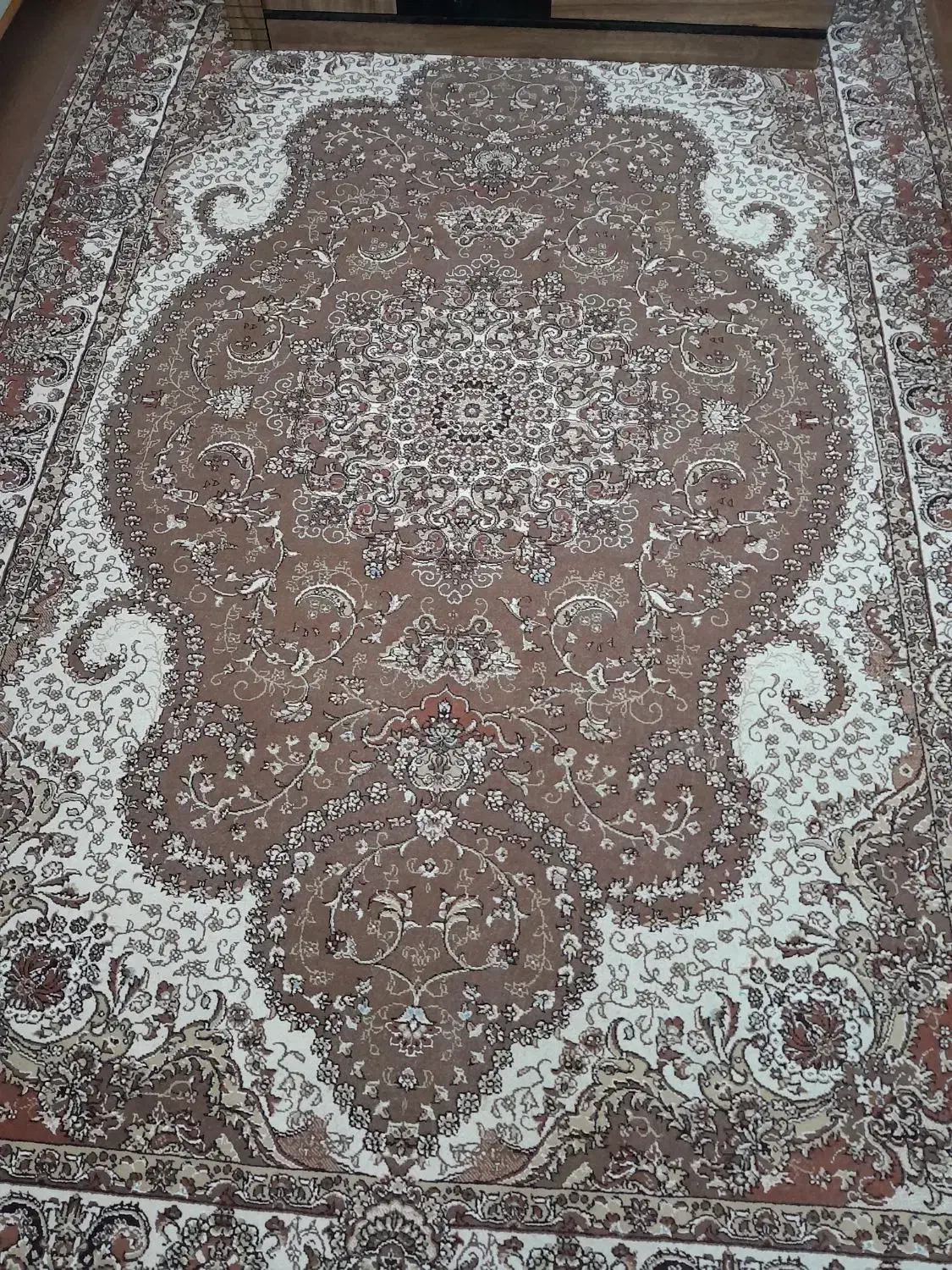 فرش ۵۰۰شانه|فرش|گرگان, |دیوار