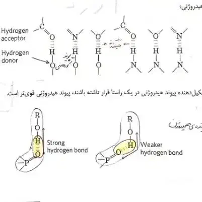 جزوه بیوشیمی پزشکی مخصوص کنکور علوم آزمایشگاهی|کتاب و مجله آموزشی|تهران, چهارصد دستگاه|دیوار