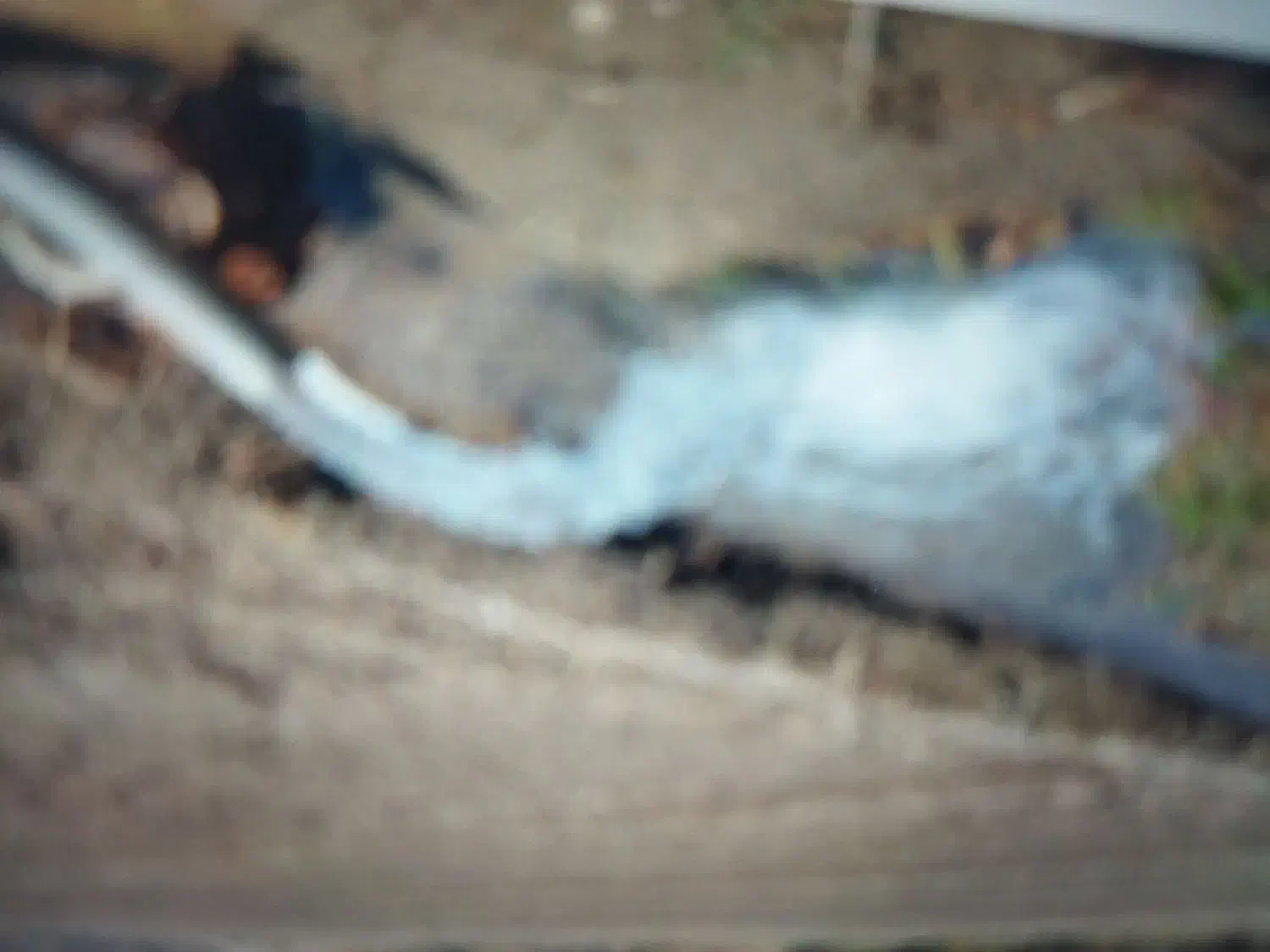 زمین کشاورزی اجاره ای|اجارهٔ دفتر صنعتی، کشاورزی، تجاری|میاندوآب, |دیوار