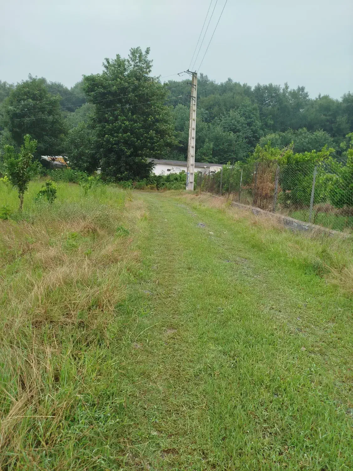 فروش یک قطعه زمین|اجارهٔ دفتر صنعتی، کشاورزی، تجاری|قائمشهر, |دیوار