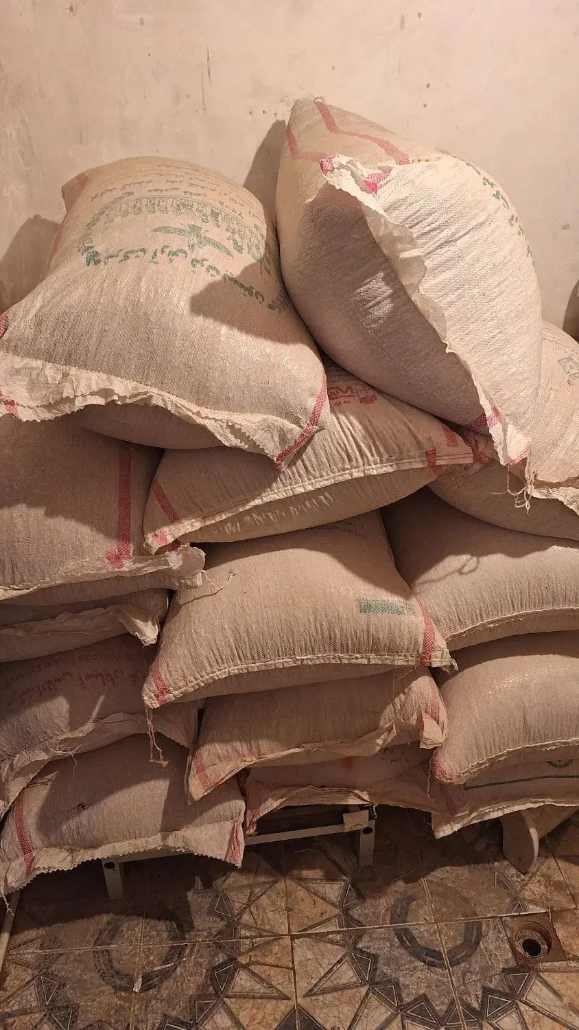 نخود دیم|عمده‌فروشی|بیلوار, |دیوار