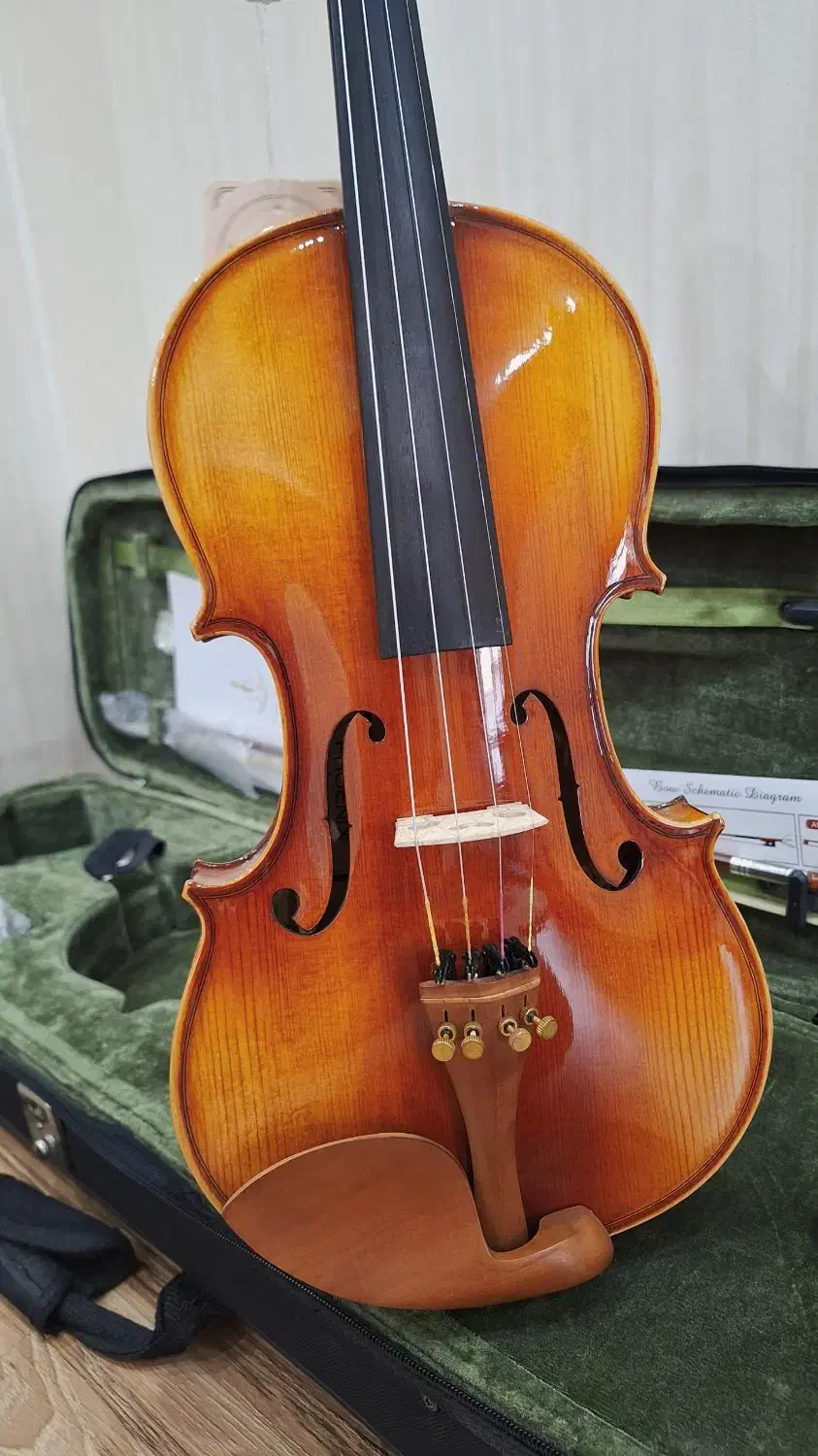 ویولن فونیکس OV206B سایز 4/4 استفاده نشده|ویولن|تهران, زنجان جنوبی|دیوار