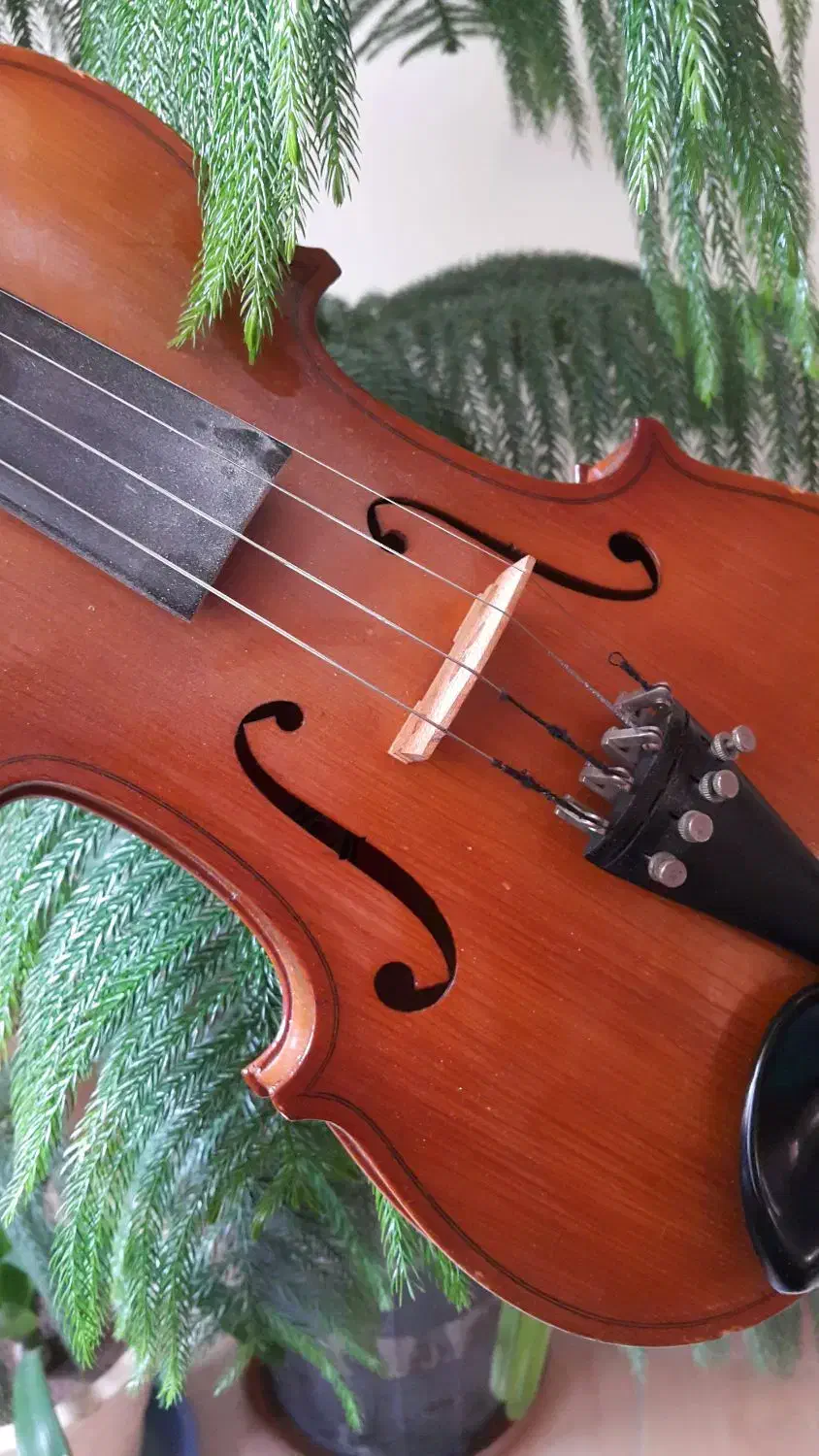 سرگرمی و فراغت|ویولن|تبریز, |دیوار