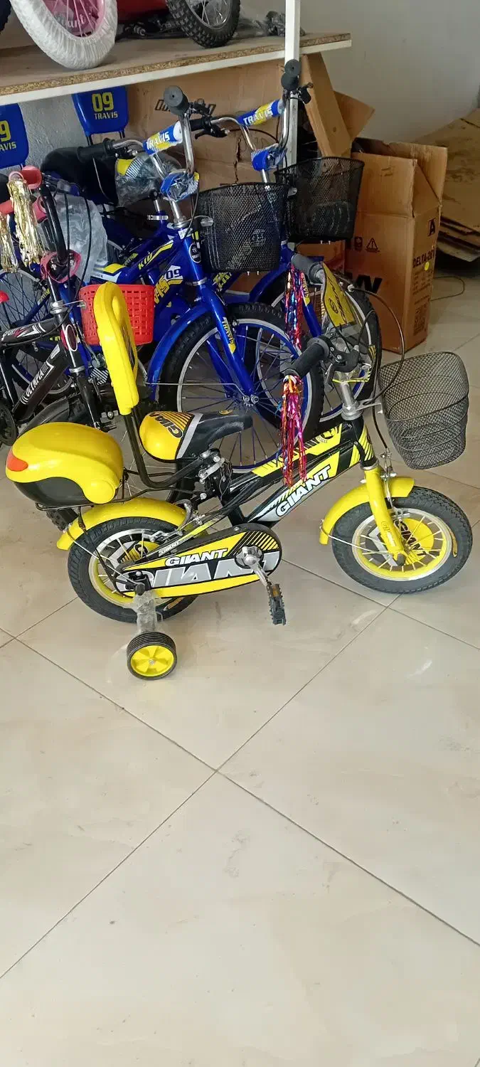 اورتگا‌بچه‌گانه|دوچرخه، اسکیت، اسکوتر|گنبد کاووس, |دیوار