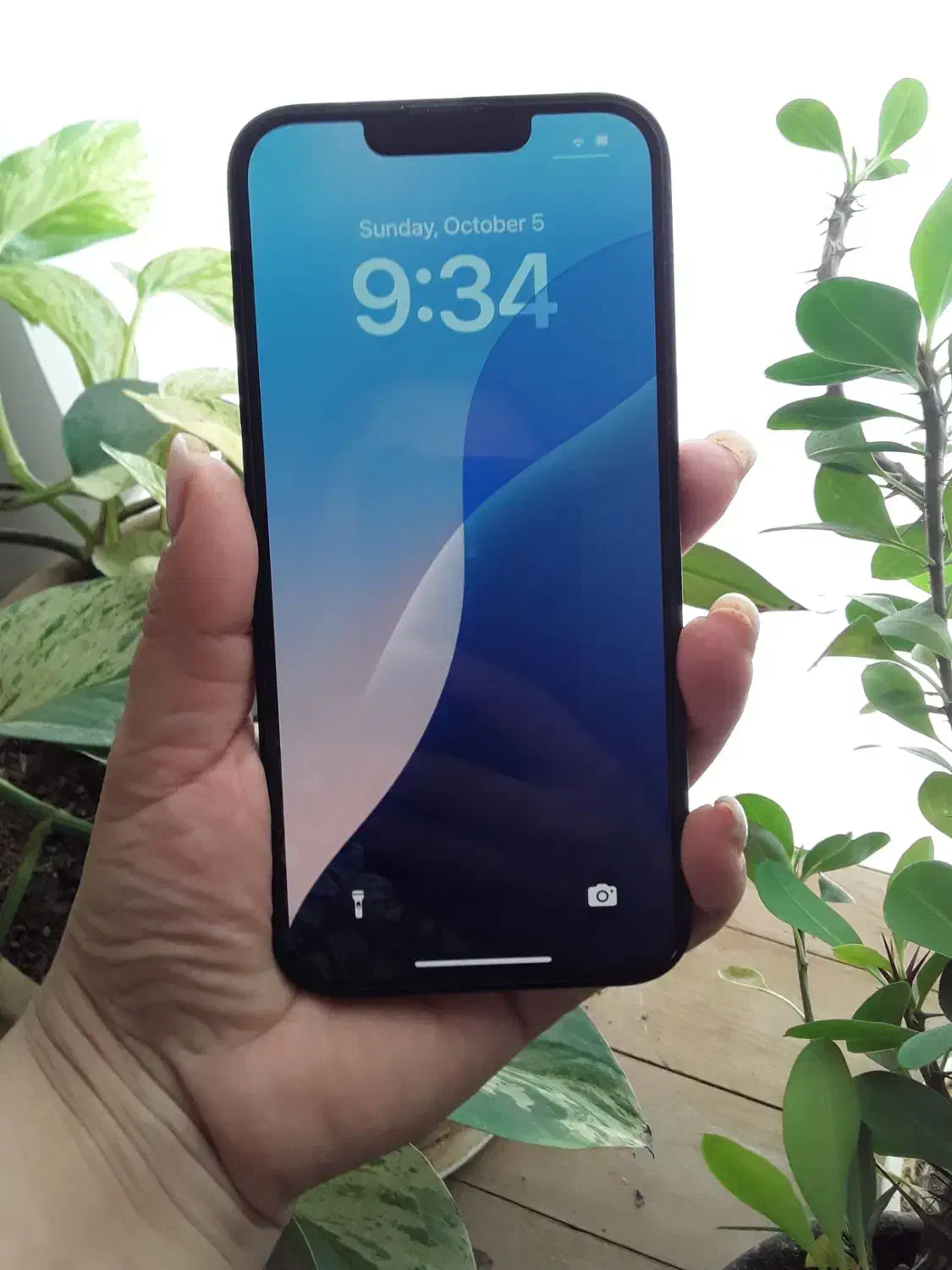 اپل iphone 14 با حافظهٔ ۱۲۸ گیگابایت|موبایل|سبزوار, ولیعصر (نجار آباد)|دیوار
