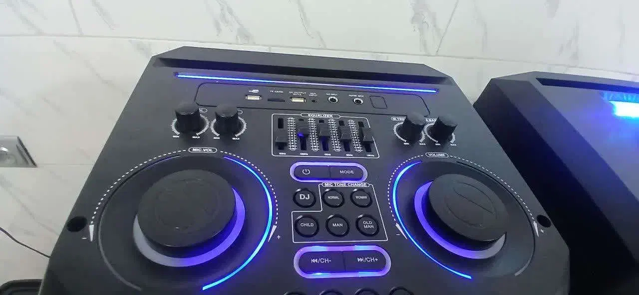 اسپیکر دیجی دار دنای مدل DJ4RSN نقد و اقساط|سیستم صوتی خانگی|یزد, |دیوار