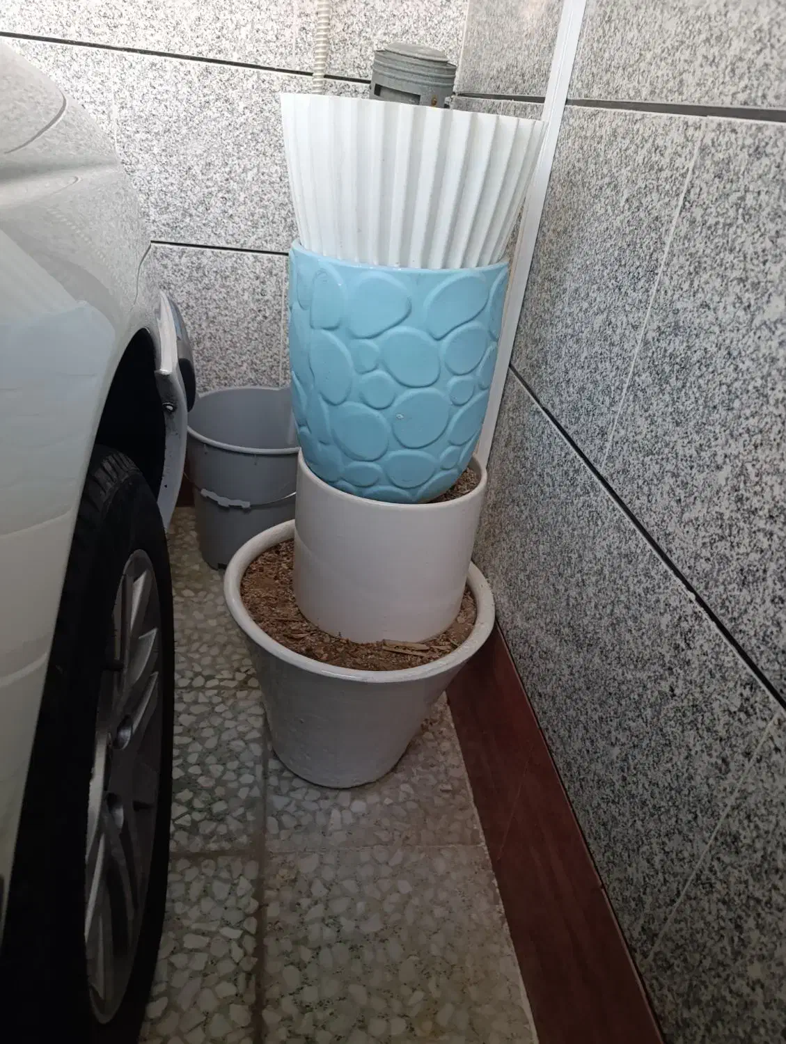 گلدان سالم|گل و گیاه طبیعی|بندر ماهشهر, |دیوار