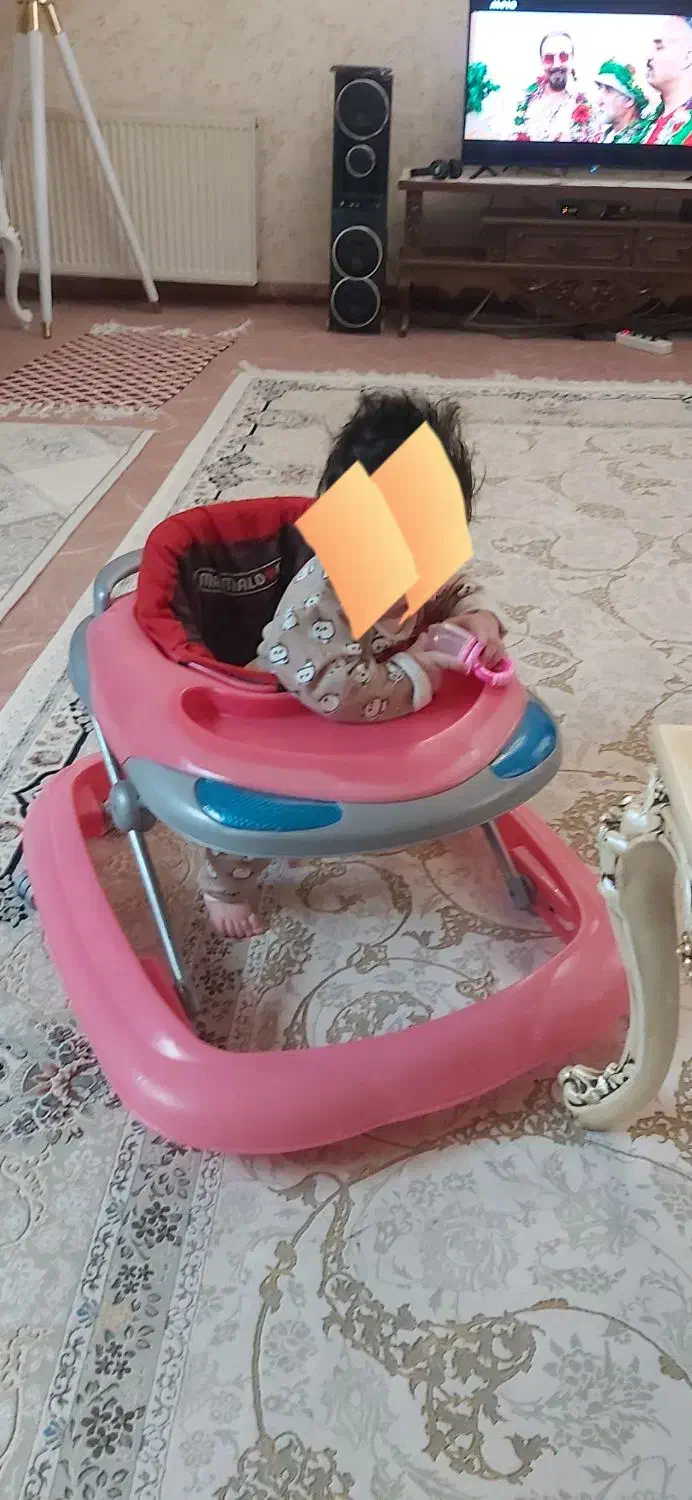 روروک|کالسکه و لوازم جانبی|اردبیل, |دیوار