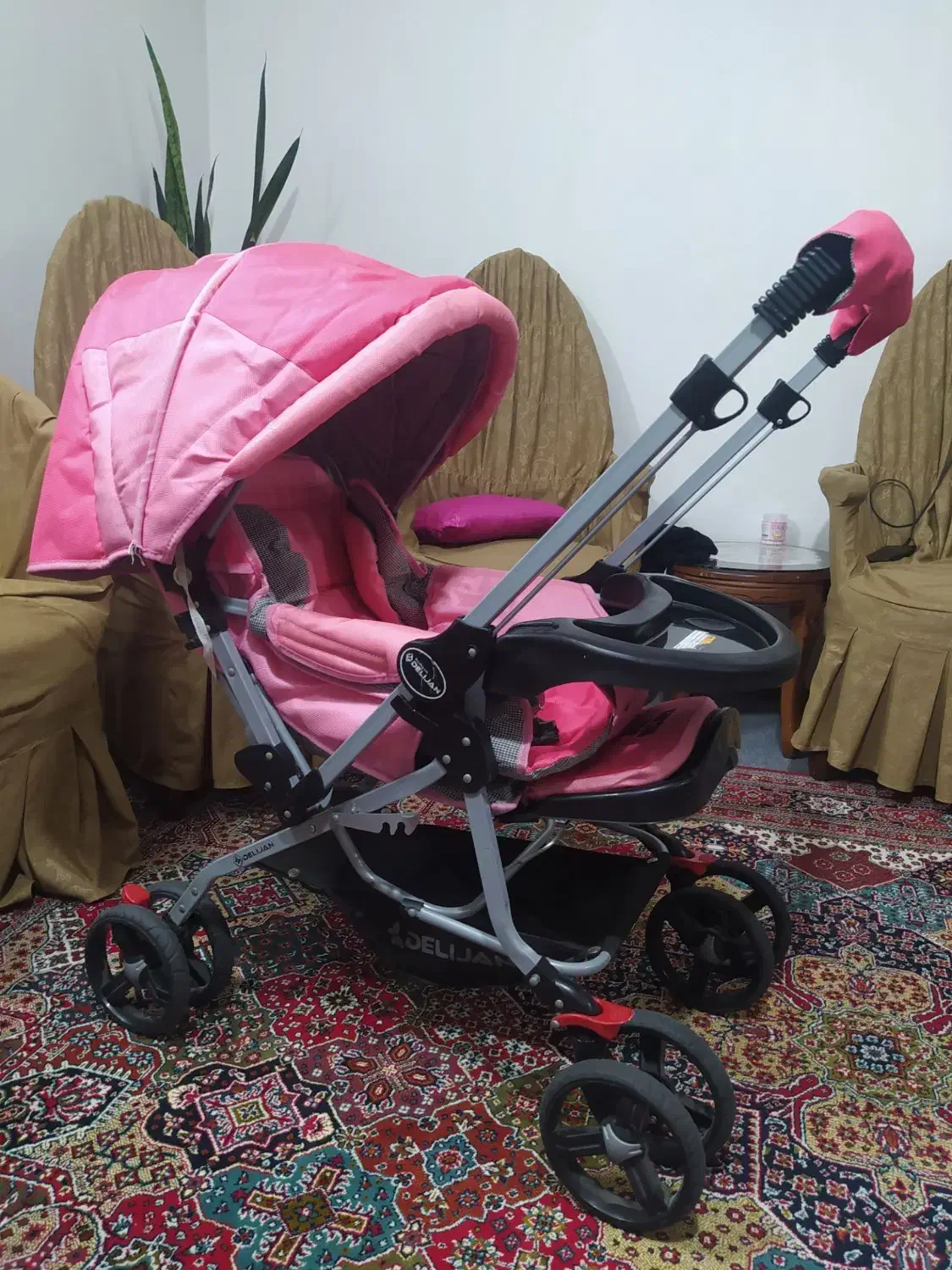 کالسکه|کالسکه و لوازم جانبی|سلماس, |دیوار