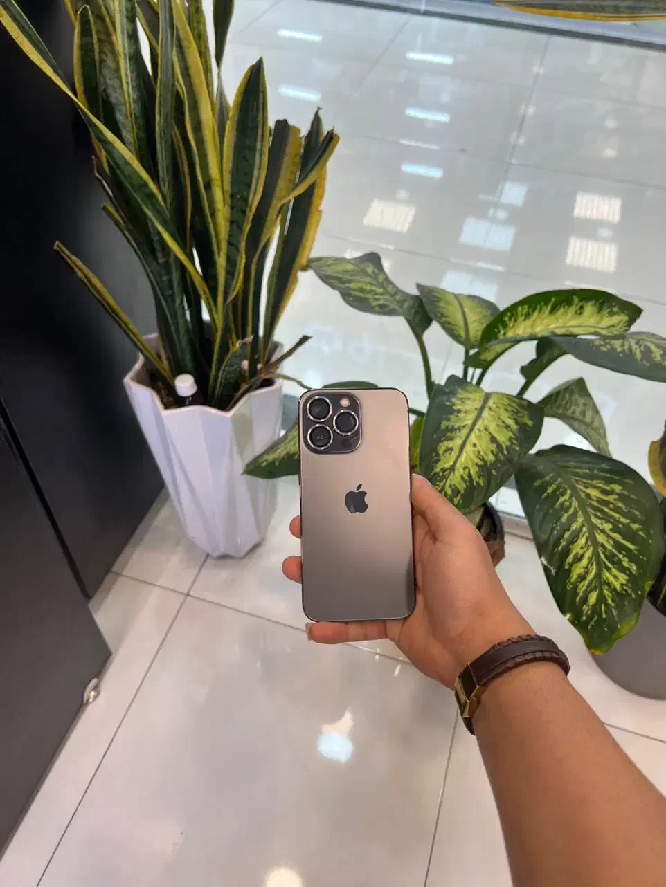 ۱۳پرو نقد و اقساط چک یا بازنشسته|موبایل|کرج, مهرویلا جنوبی|دیوار