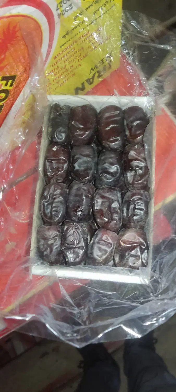 خرما|عمده‌فروشی|بم, |دیوار