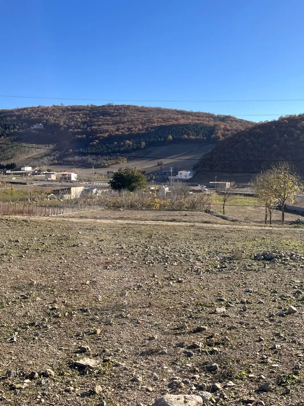 زمین ۳۰۰متری در جاده کیاسر|فروش زمین و ملک کلنگی|کیاسر, |دیوار