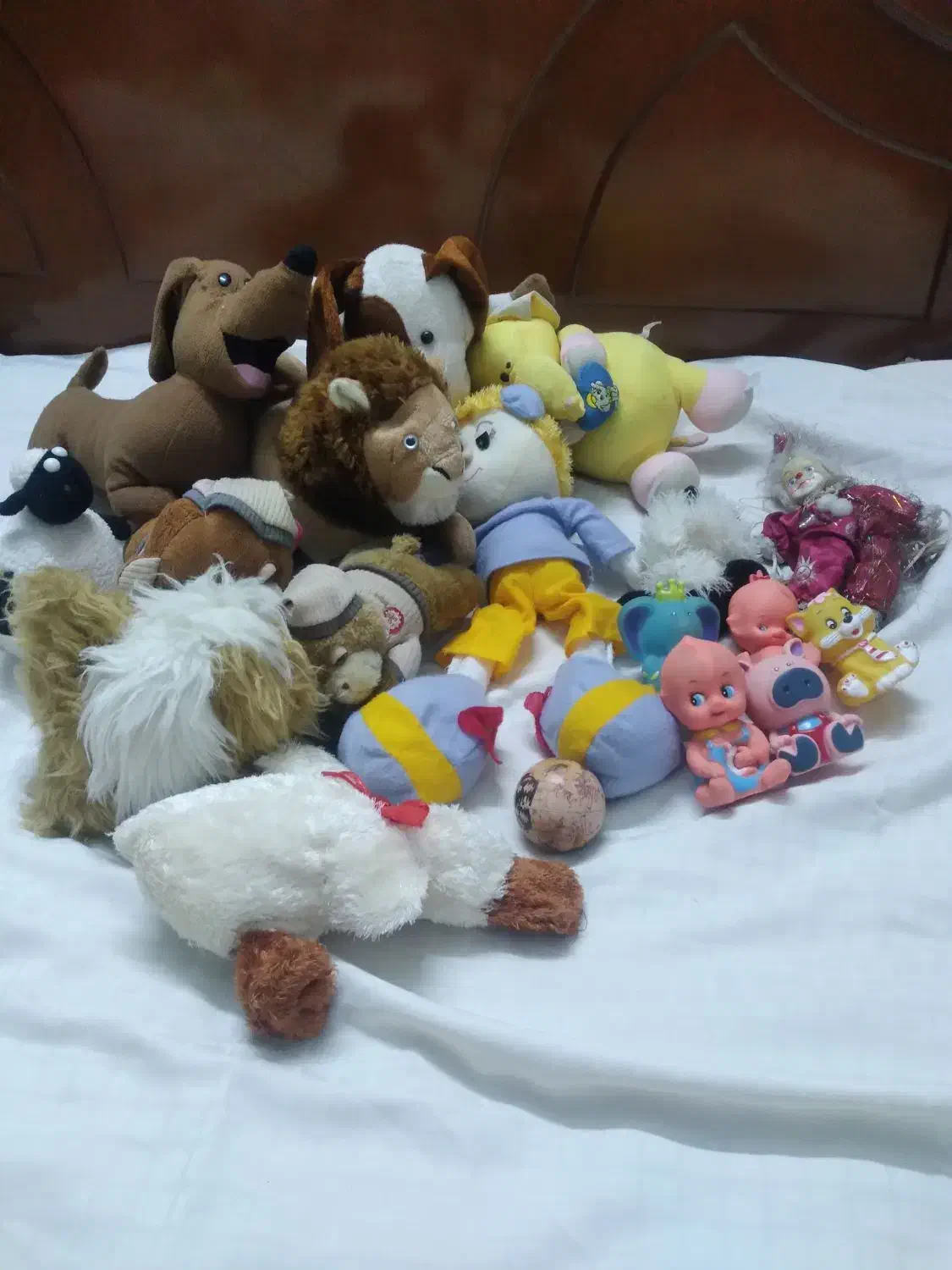 عروسک|اسباببازی بچه|گرگان, |دیوار