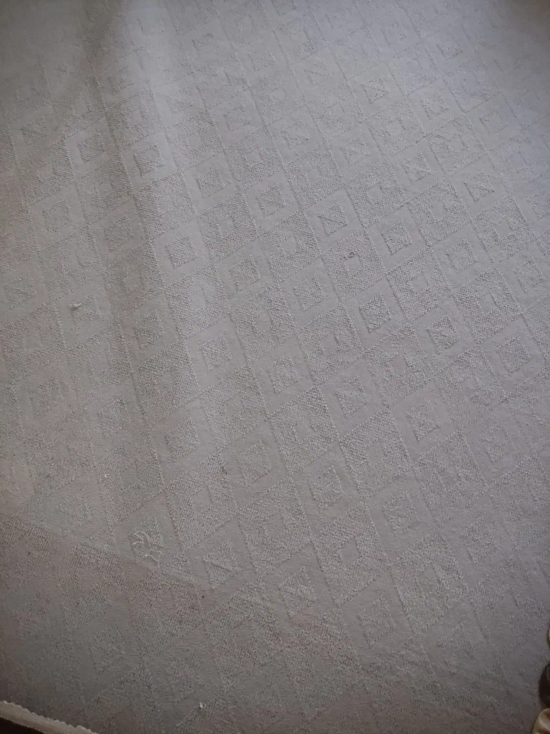 موکت دوازده متری در حد نو|موکت|زابل, |دیوار