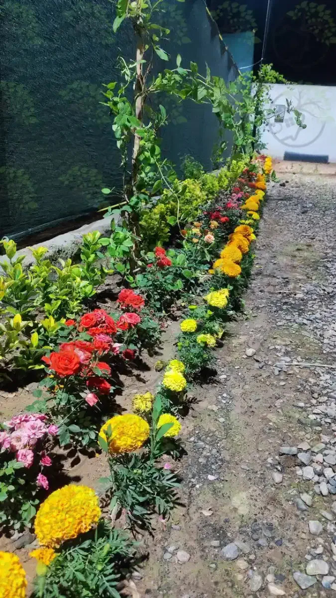 خدمات باغبانی کاشت گل درختکاری تعویض خاک گلدون|خدمات باغبانی و درختکاری|تهران, تجریش|دیوار