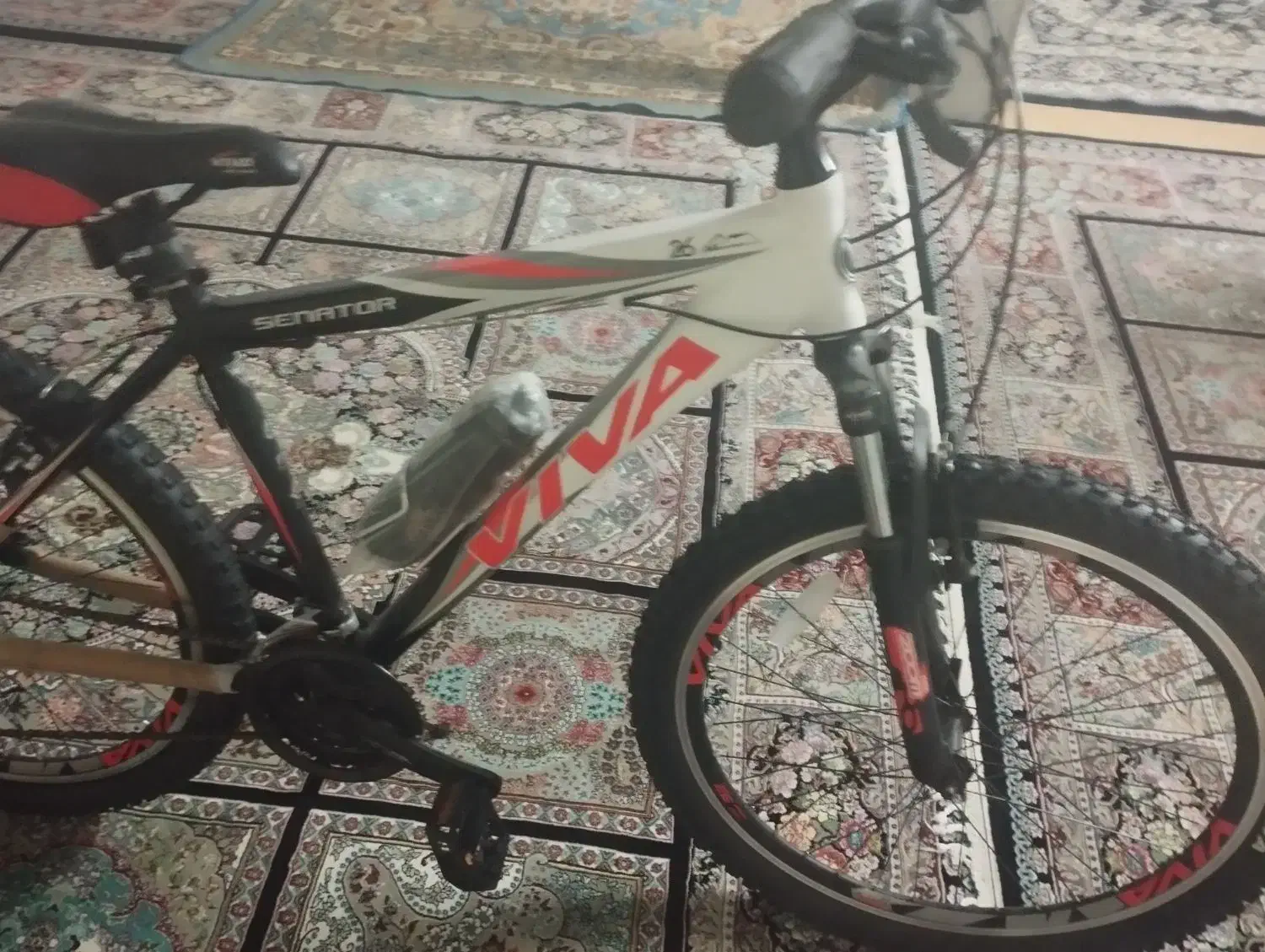 دوچرخه ویوا|دوچرخه، اسکیت، اسکوتر|تاکستان, |دیوار