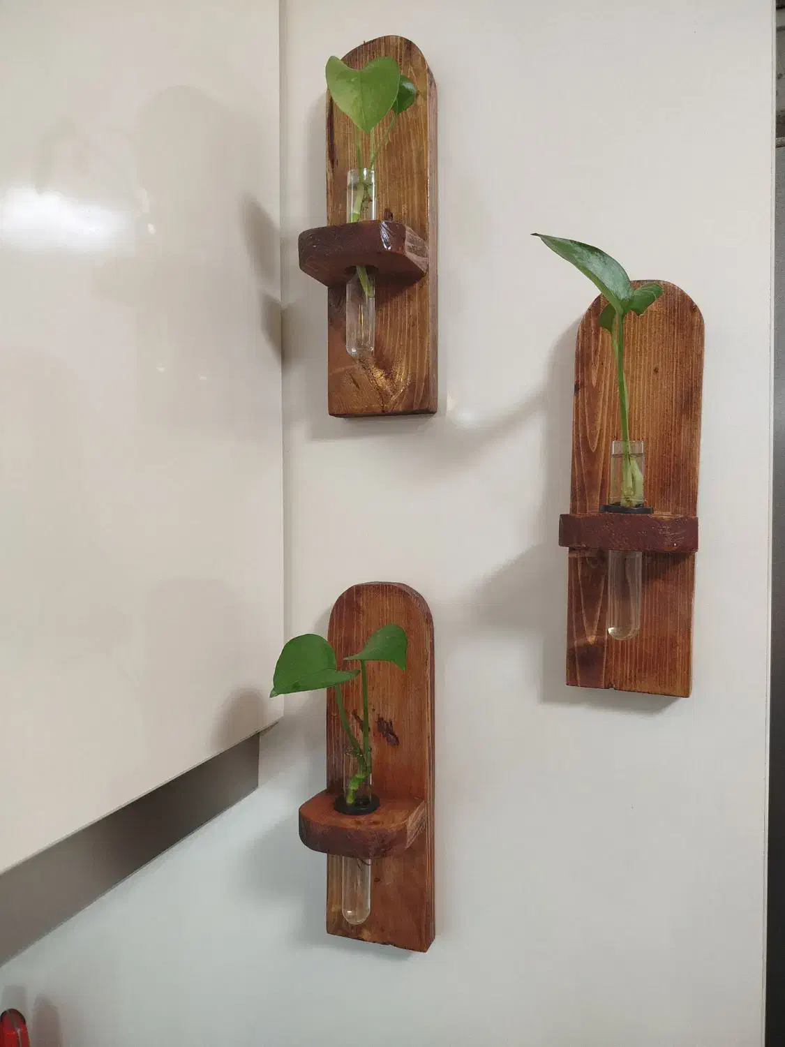 استند گل|گل و گیاه طبیعی|قم, ولیعصر|دیوار