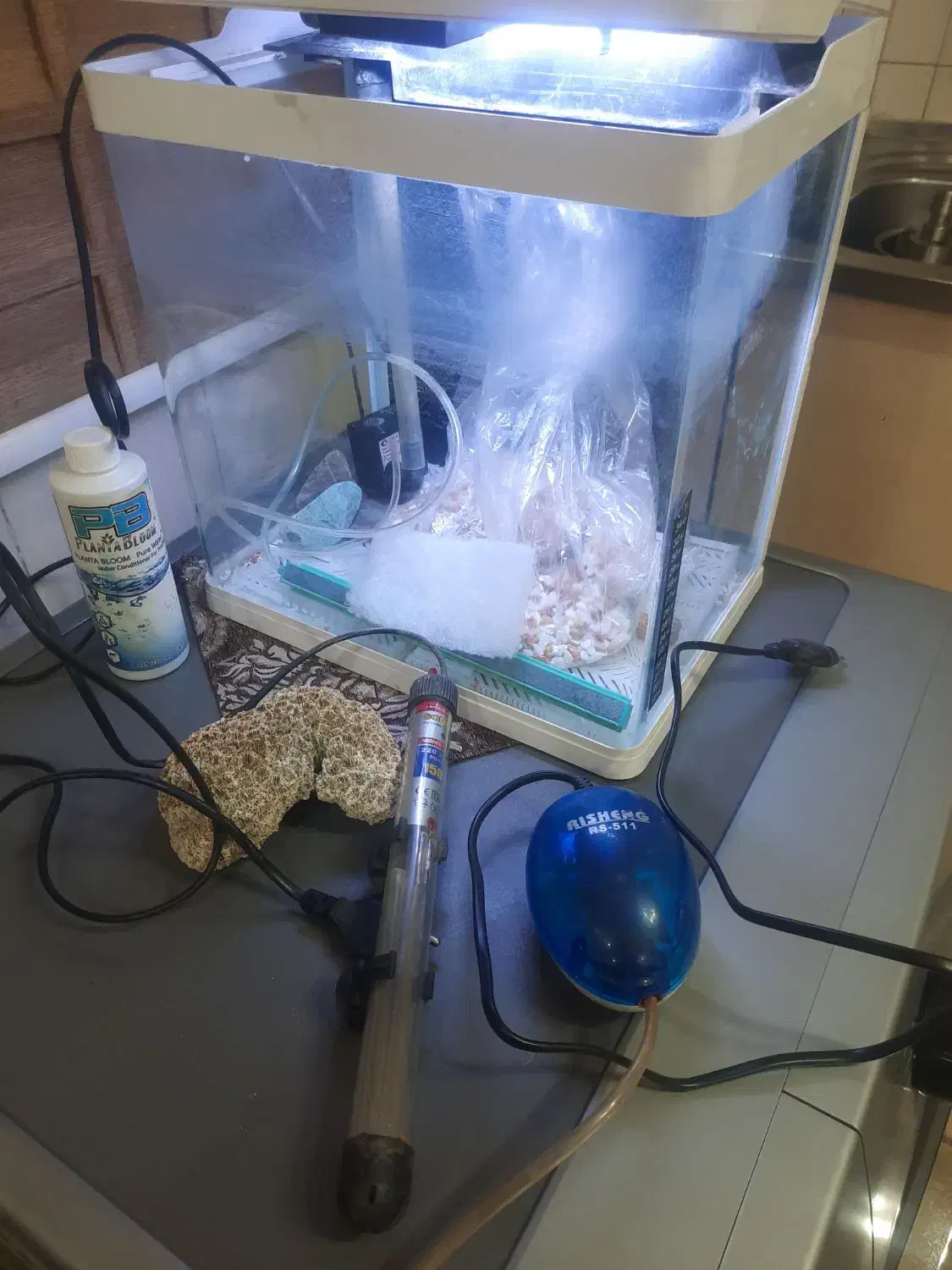 آکواریوم با تمام متعلقات|ماهی|تهران, دکتر هوشیار|دیوار