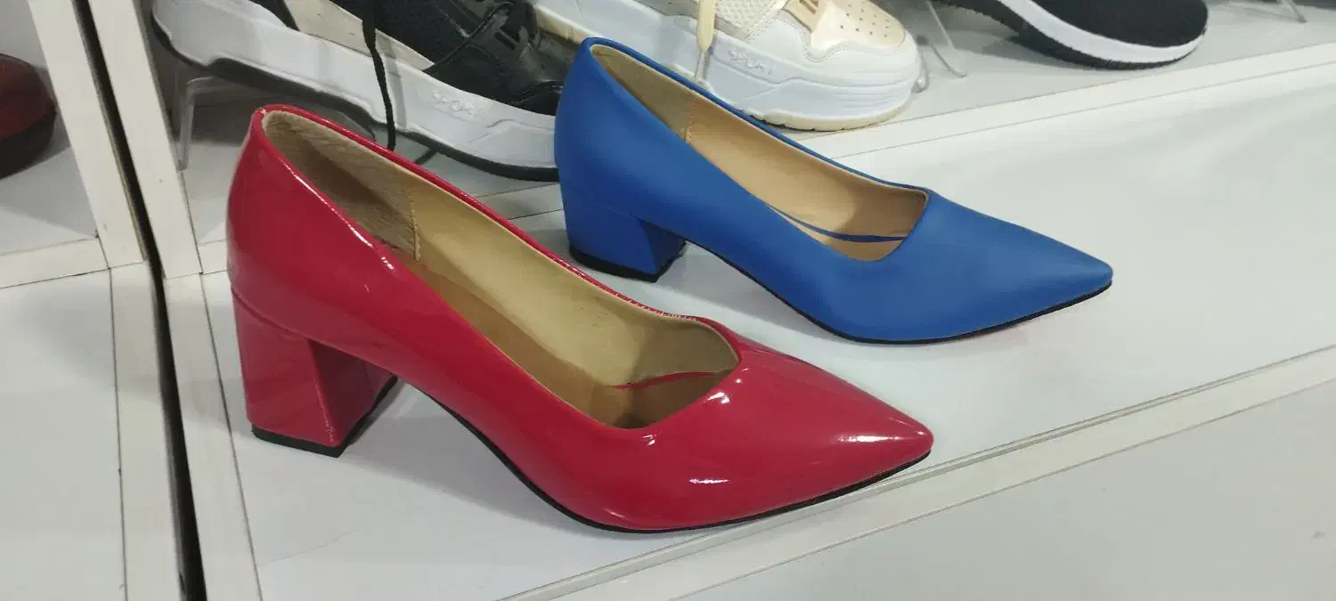 زنانه مجلسی ۱۹۹ت|کیف، کفش، کمربند|بیرجند, |دیوار