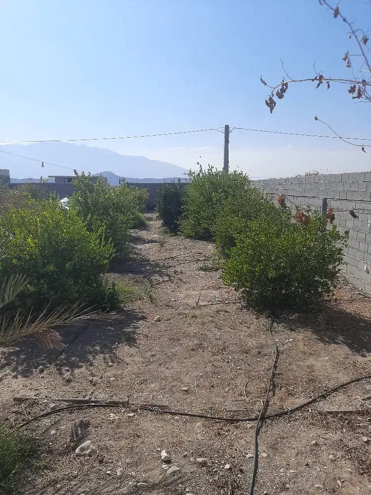 فروش باغشهری بهارستان جهرم|فروش خانه و ویلا|جهرم, |دیوار