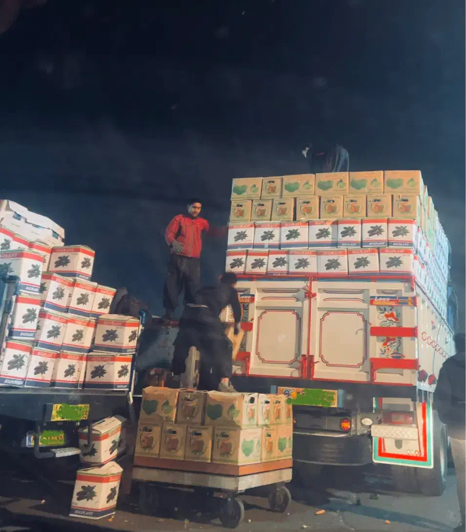 تامین میوه و تره بار عمده برای شرکت ها و ارگانها|عمدهفروشی|تهران, میدان میوه و ترهبار مرکزی|دیوار