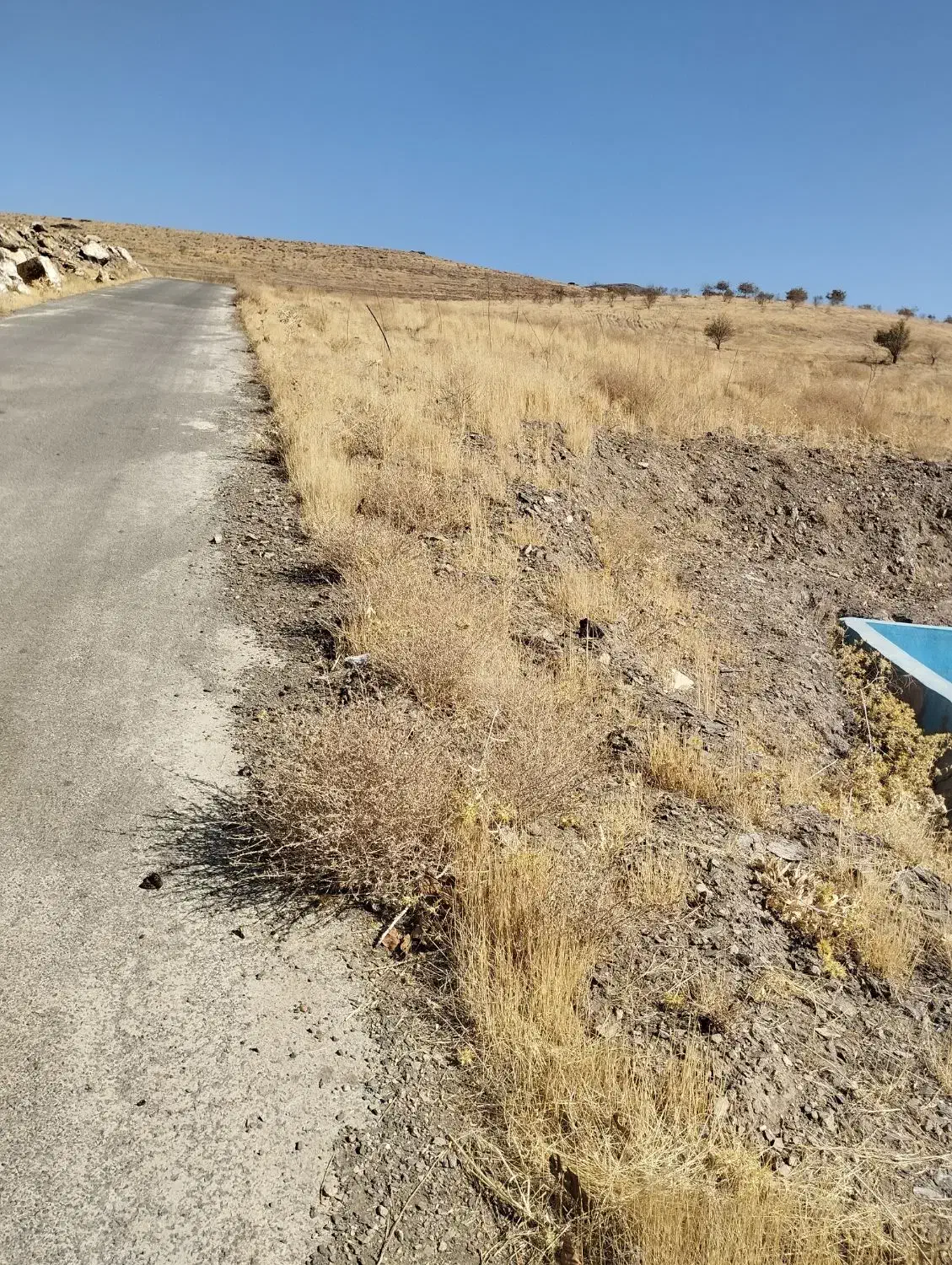 زمین باغی|فروش دفتر صنعتی، کشاورزی، تجاری|همدان, |دیوار