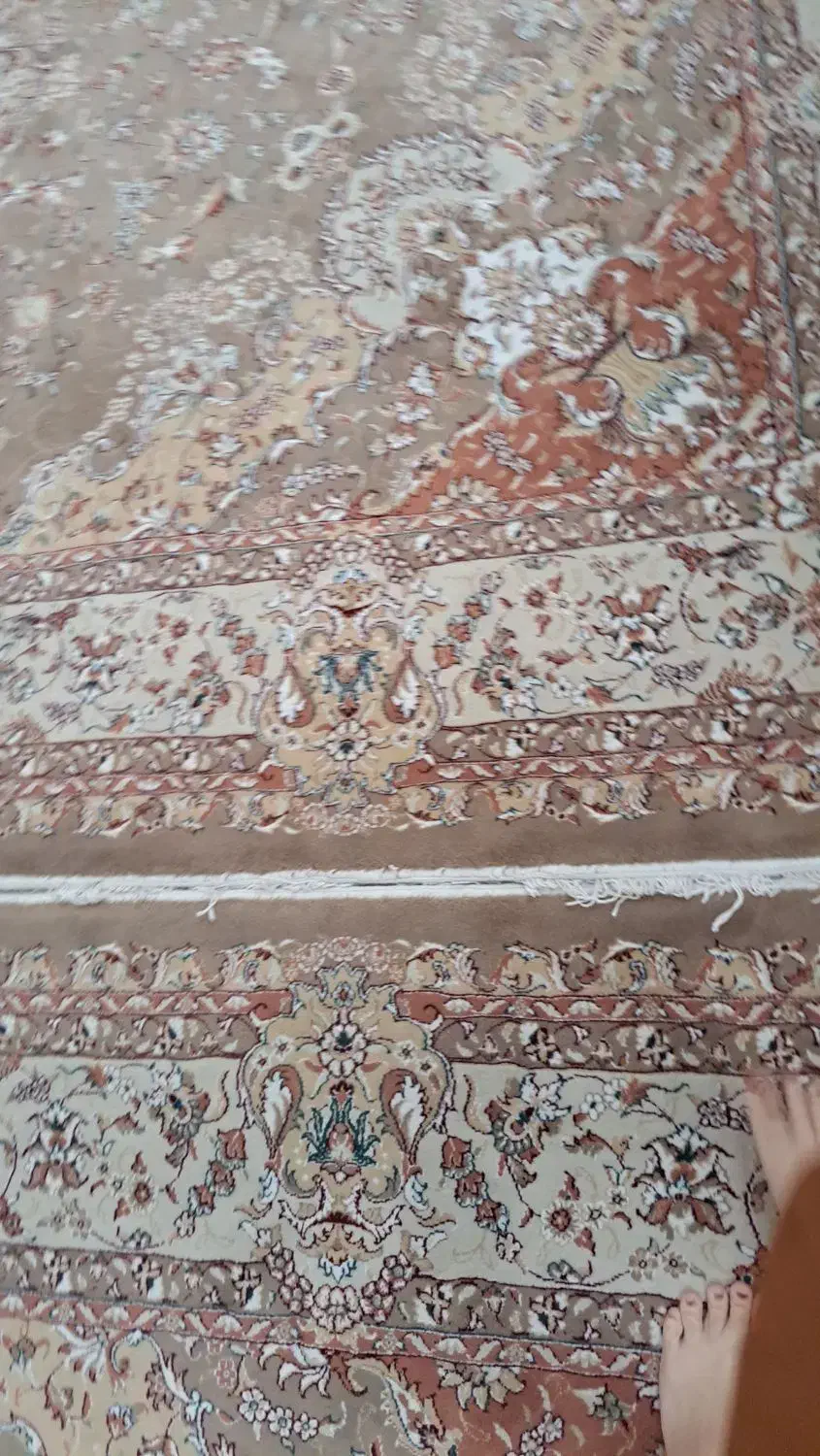 ۳ عدد فرش ۱۲ متری پاتریس ۵۰۰ شانه|فرش|گناباد, |دیوار