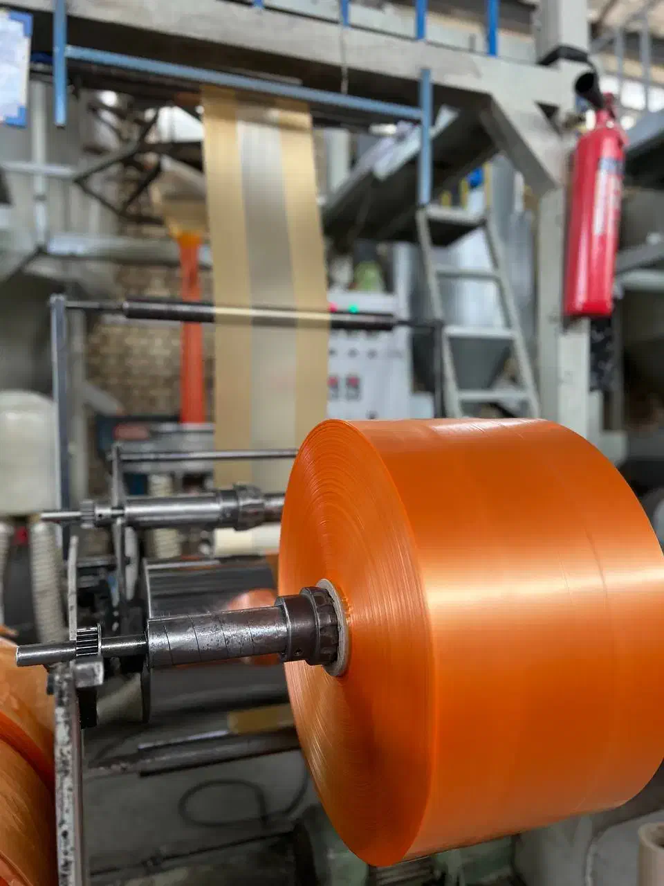 کارخانه تولید نایلکس، نایلون و زباله فراز پلاست|عمده‌فروشی|مشهد, کارمندان دوم|دیوار