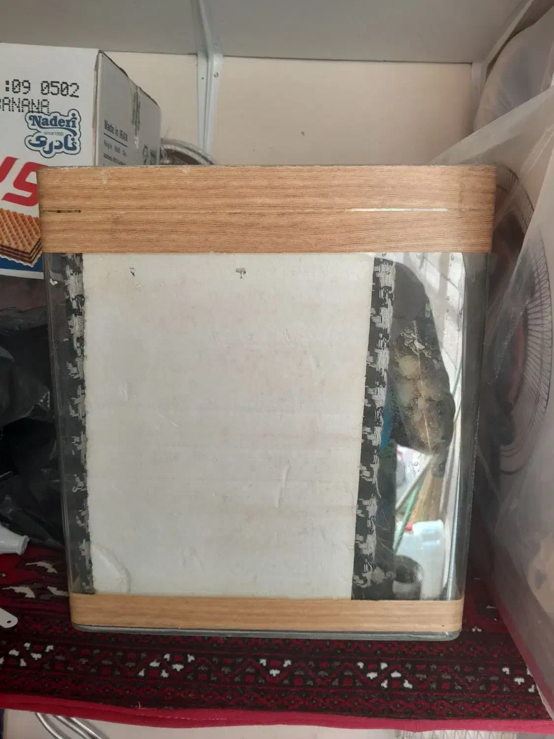 اکورایوم شیشه خم|ماهی|اقبالیه, |دیوار