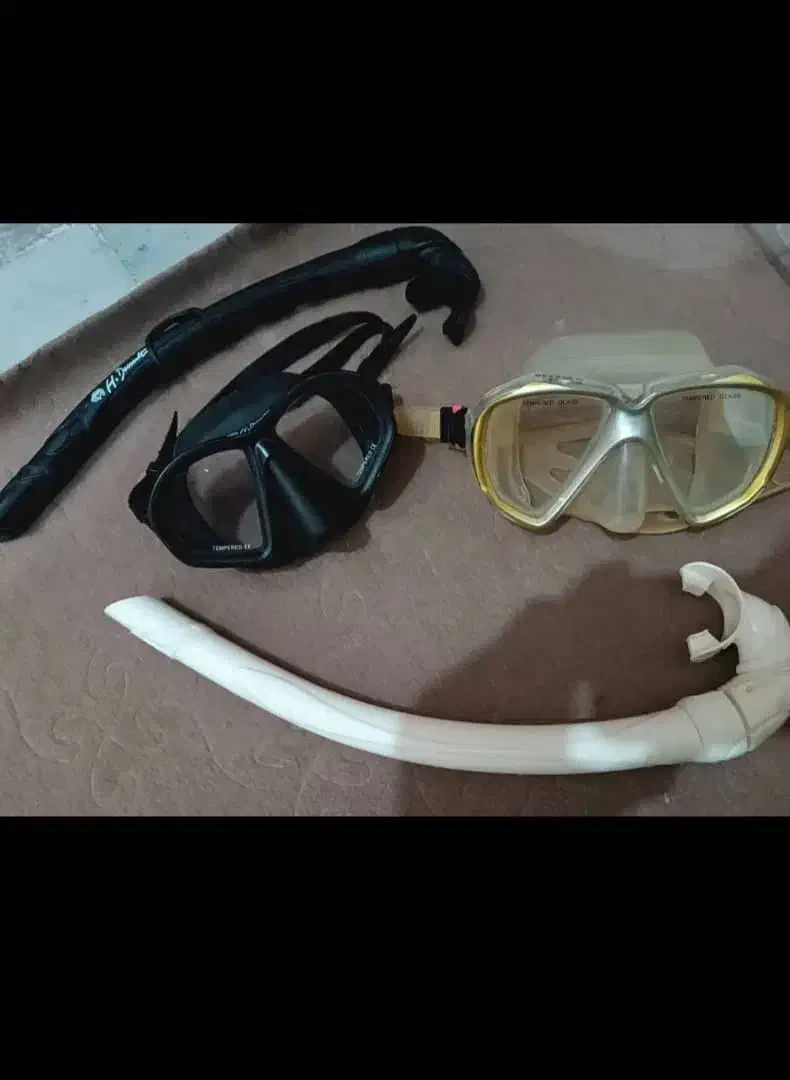 لوازم غواصی|غواصی و ورزش‌های آبی|بوشهر, |دیوار