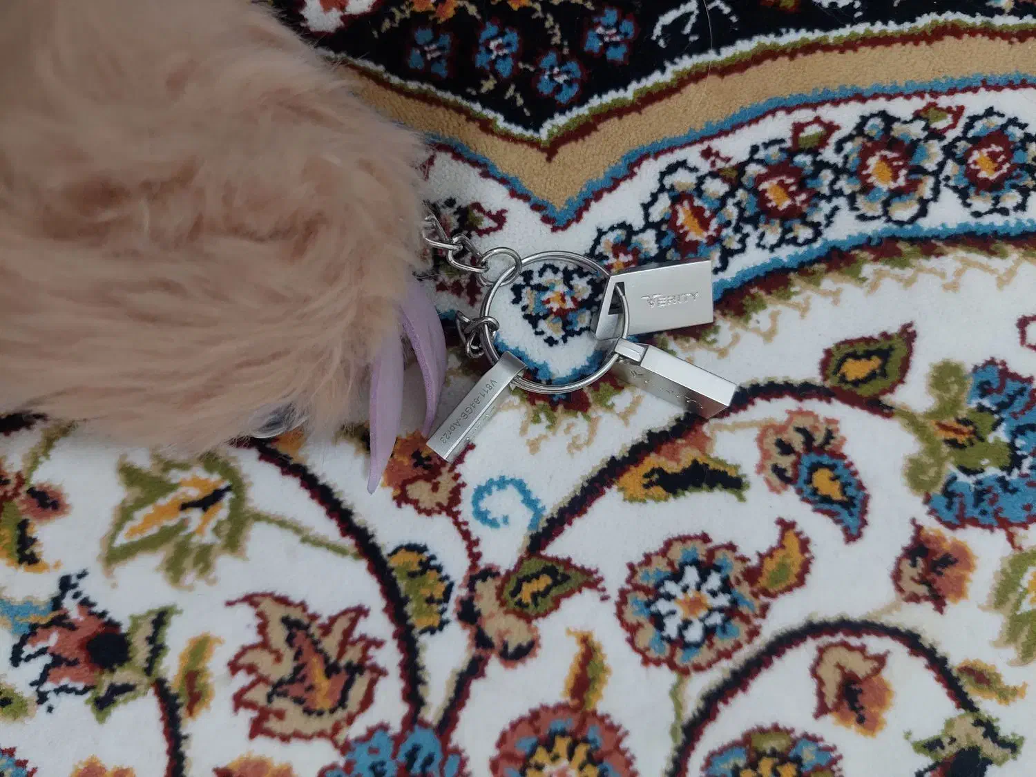 ۳ تا فلش ورایتی|قطعات و لوازم جانبی رایانه|کرج, شهرک بنفشه|دیوار