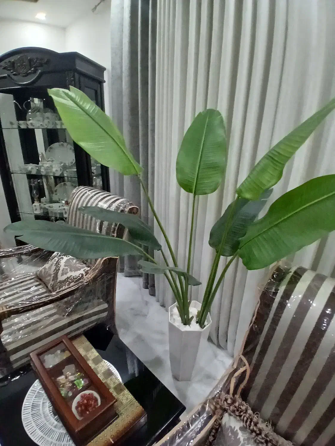 درختچه|گل مصنوعی|اهواز, نبوت|دیوار