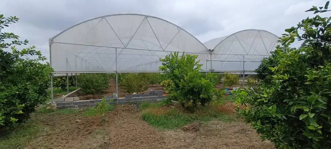 ۲۰هزار متر زمین جاده دریا گهرباران قابل ساخت ساز|فروش زمین و ملک کلنگی|طبقده, |دیوار