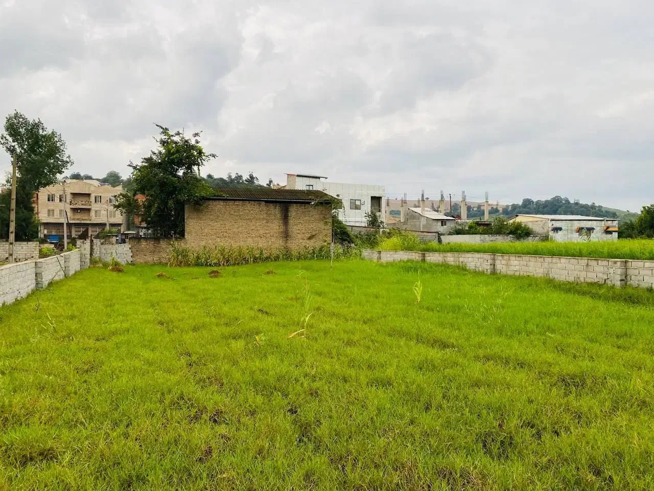 فروش زمین مسکونی ۵۰۰ متری|فروش زمین و ملک کلنگی|نکا, |دیوار