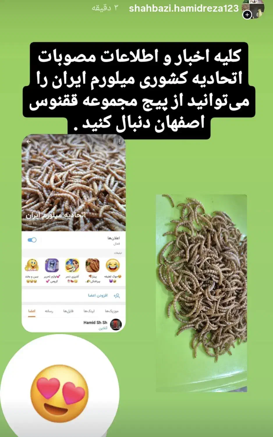 کرم لارو میلورم اتحادیه هماهنگی کشوری|خزنده|اصفهان, شهرک امام خمینی|دیوار