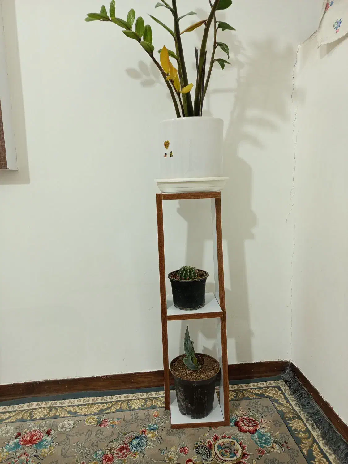 استند گل|گل و گیاه طبیعی|بیرجند, |دیوار