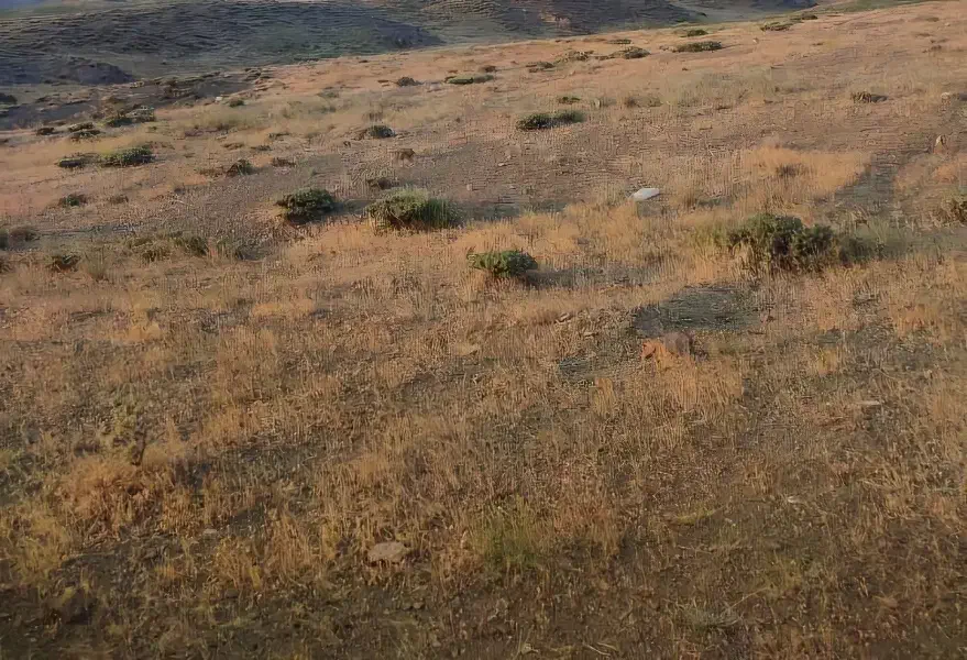 زمین ۴۰۰ متری|فروش زمین و ملک کلنگی|عنبران, |دیوار