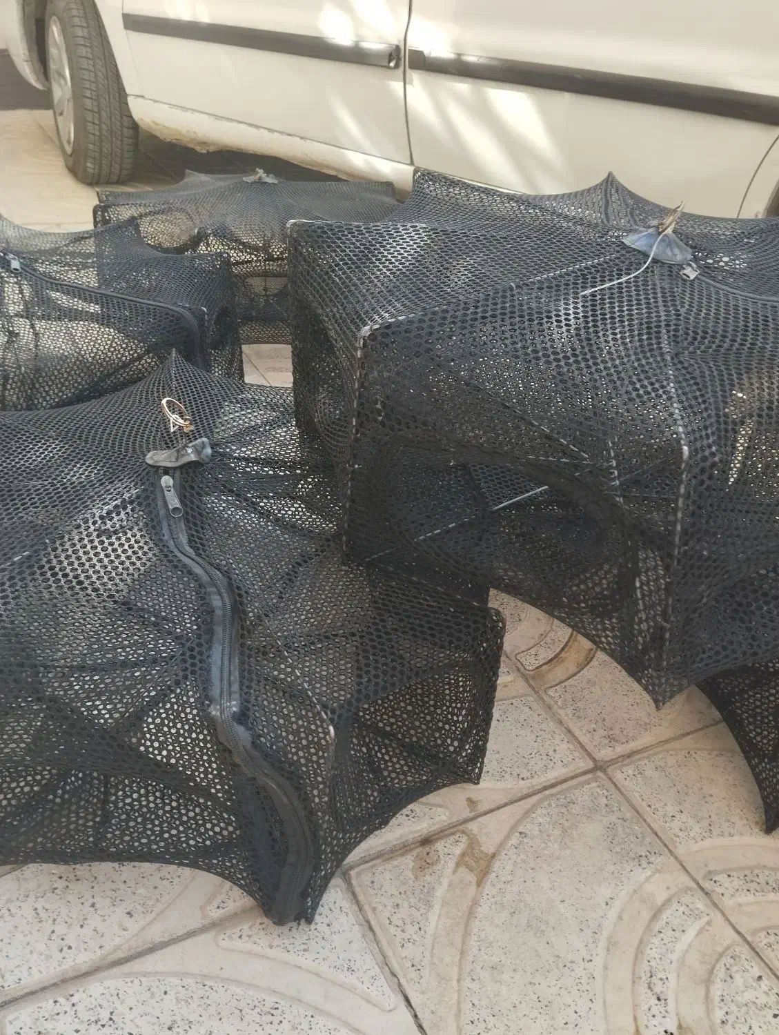 طور ماهیگیری|ماهیگیری|زنجان, |دیوار