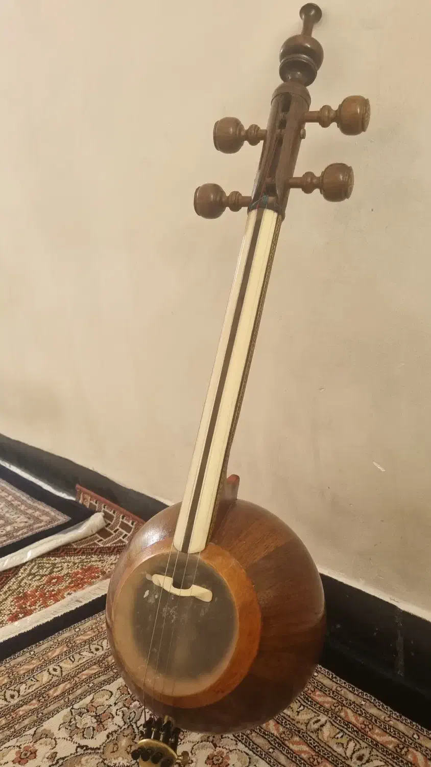 کمانچه پشت بسته|سازهای سنتی|دورود, |دیوار