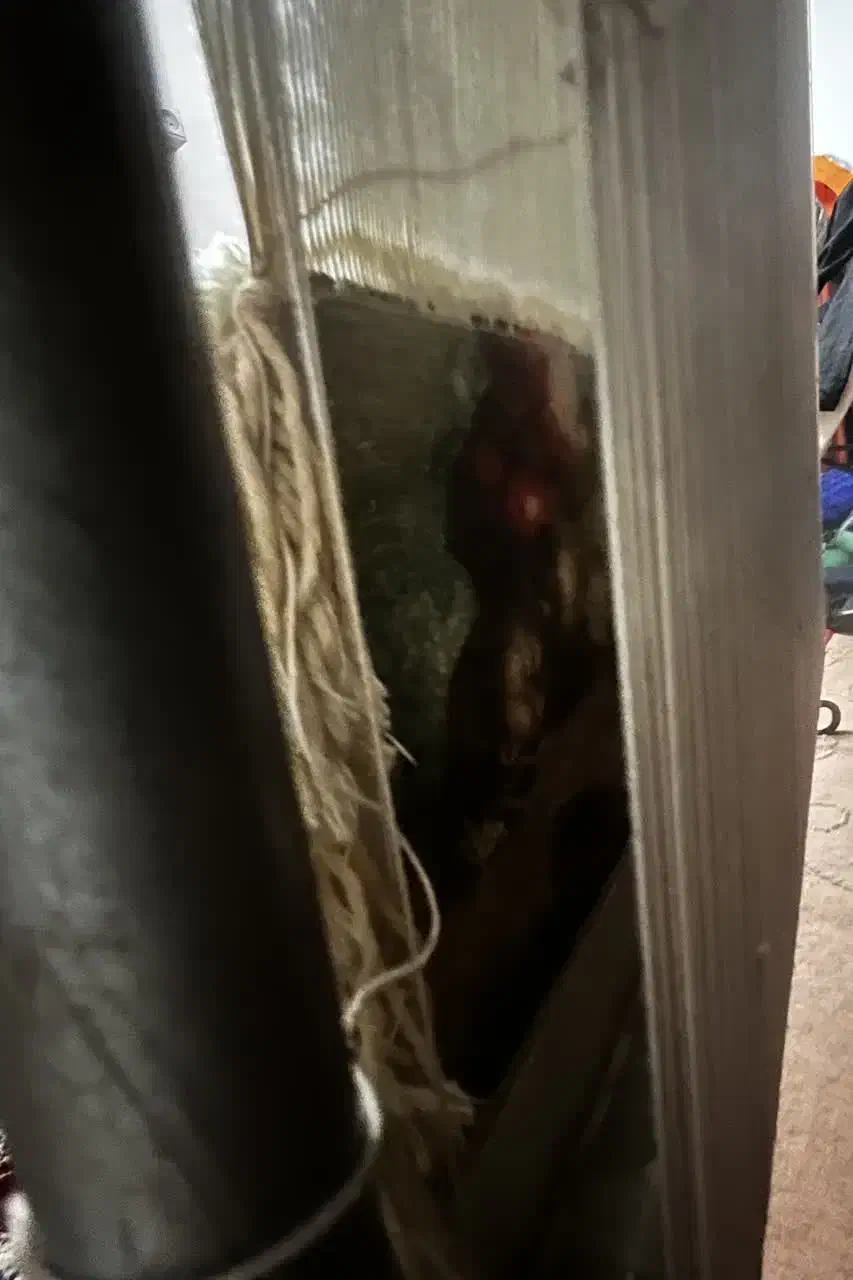 تابلو فرش نیمه بافته با تمام وسایل و نخ و نقشه|تابلو فرش|مشهد, طلاب|دیوار