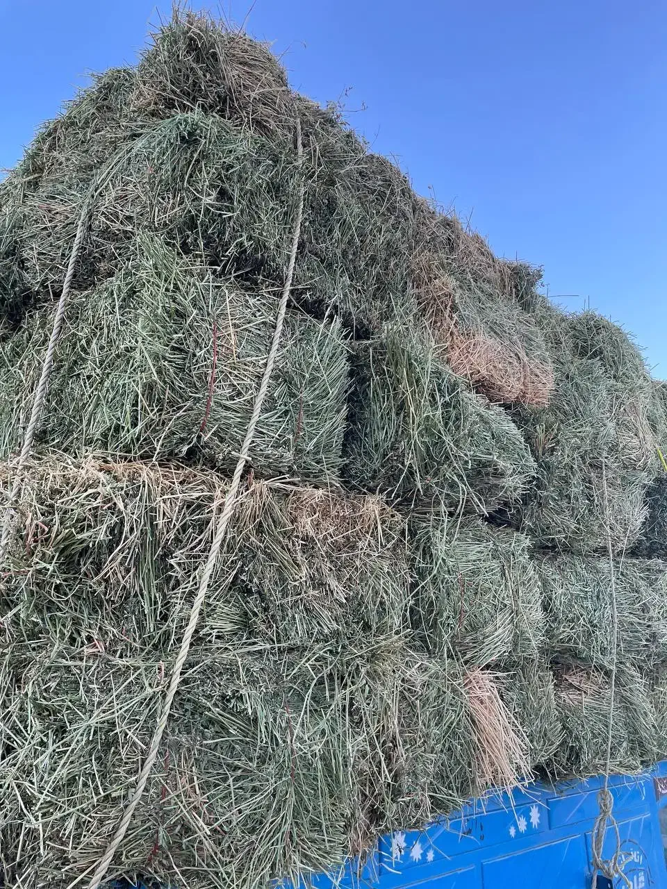 حدود ۲ تن یونجه خرد|خدمات باغبانی و درختکاری|میاندوآب, |دیوار