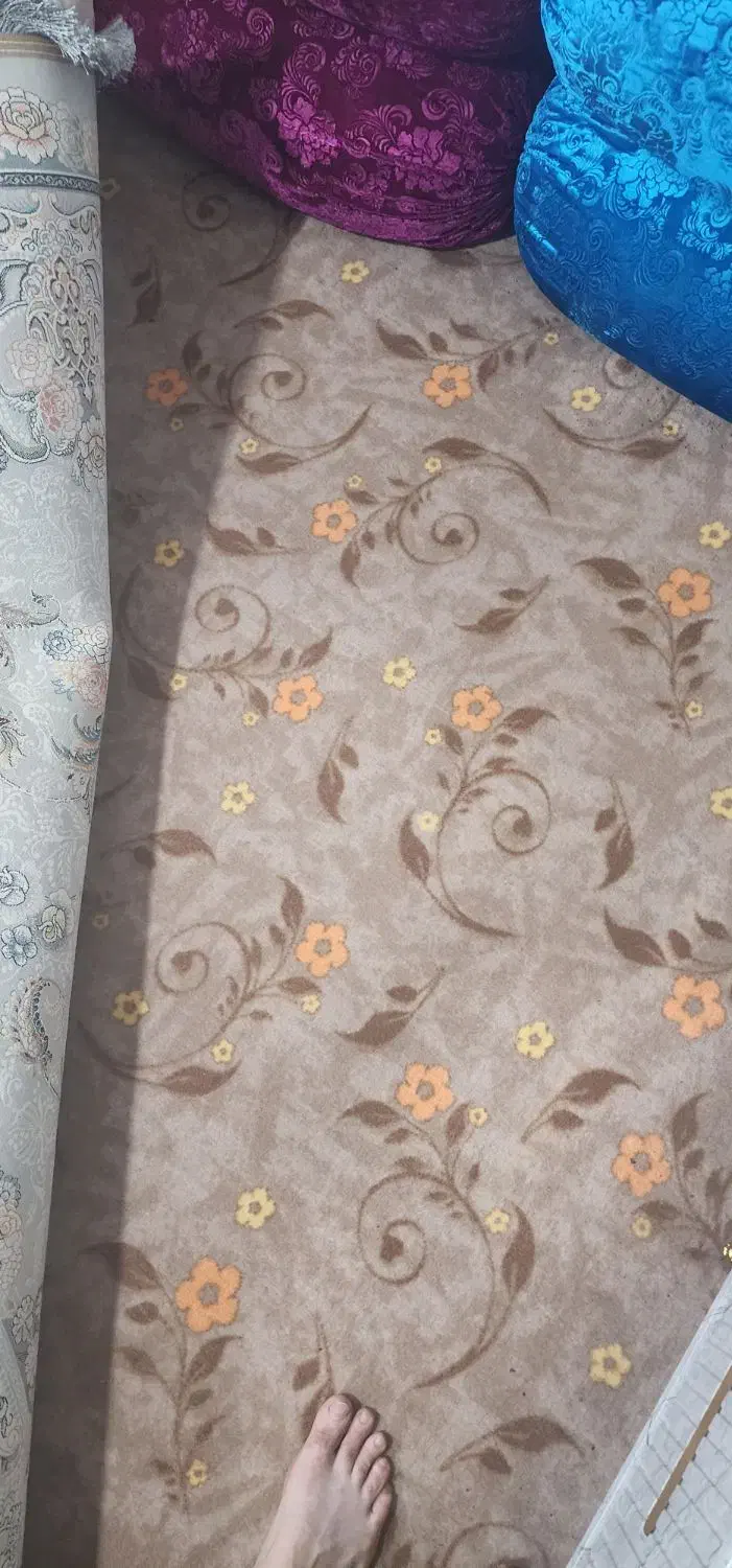 ۳۰متر موکت درحدنو|موکت|نظرآباد, شهرک سید جمال الدین|دیوار