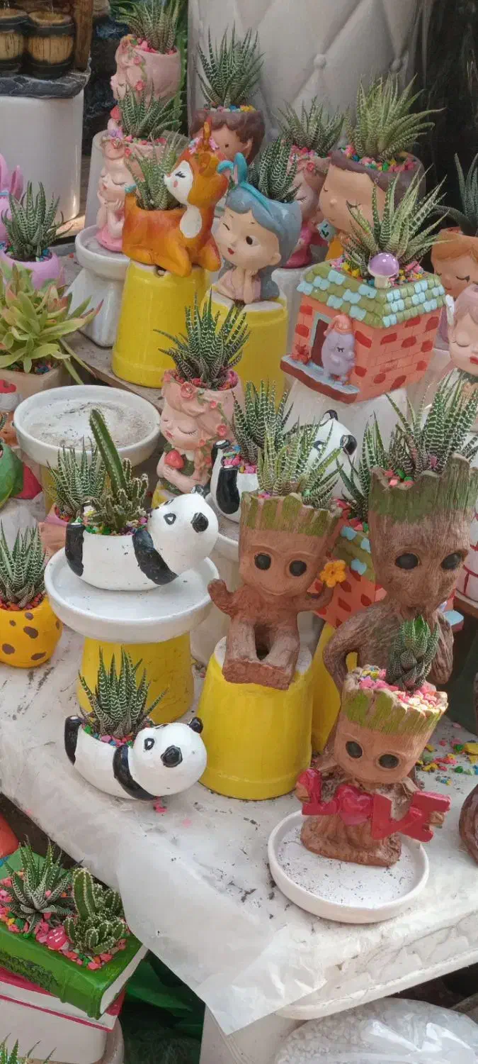 کاکتوس و مجسمه فانتزی برای شرکت ها اداره ها.منازل|گل و گیاه طبیعی|تهران, بازار|دیوار