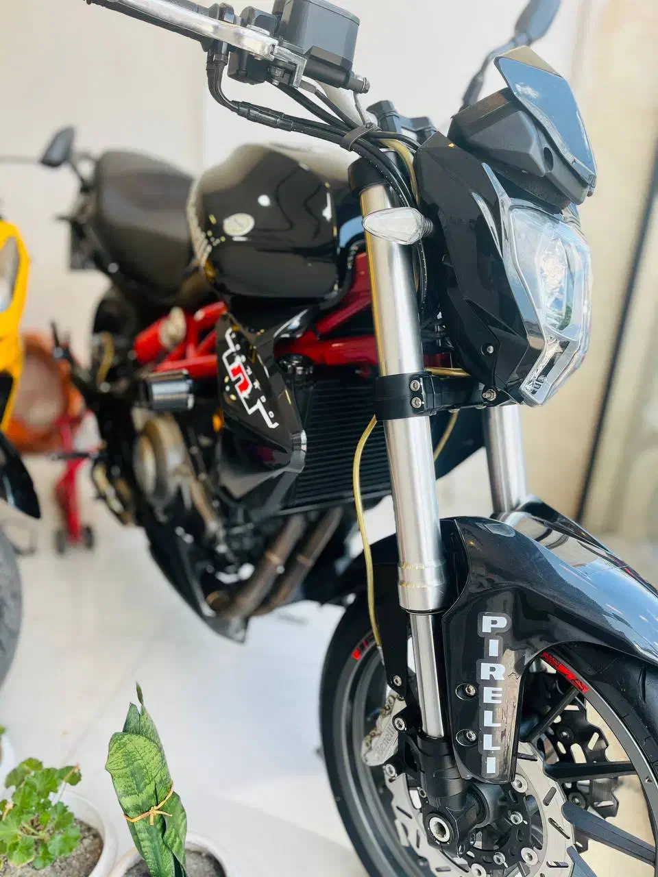 بنلی ۳۰۰درصد صفر|موتورسیکلت|رشت, یخسازی|دیوار