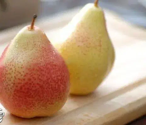 نهال گلابی فورل بصورت پیشفروش|خدمات باغبانی و درختکاری|نمین, |دیوار