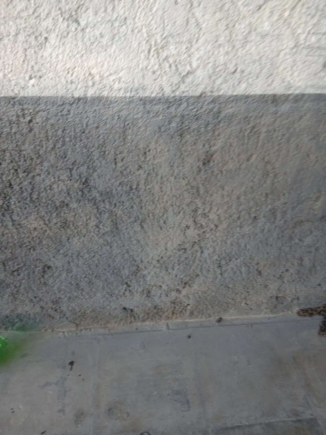 فروش اسکلت سقف زده شده دوبان|فروش خانه و ویلا|داراب, |دیوار